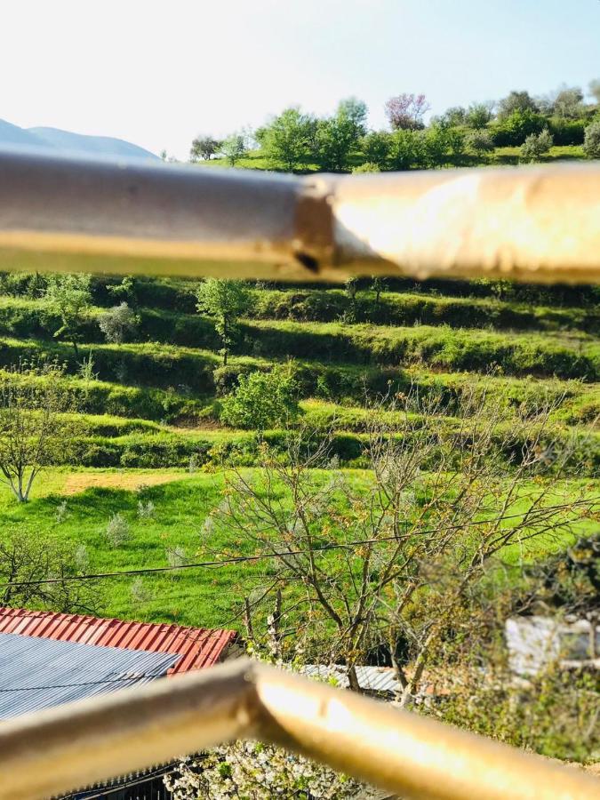 Villa Rexho Berat Luaran gambar